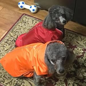 Meet your Posher, Ella